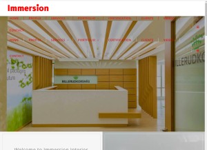How immersiondesigns.com looks like on a tablet such as an iPad.