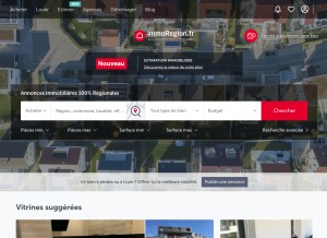 How immoregion.fr looks like on a tablet such as an iPad.