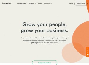 How impraise.com looks like on a tablet such as an iPad.