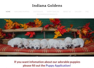 How indianagoldens.com looks like on a tablet such as an iPad.