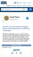 How indifferentlanguages.com looks like on a mobile device such as an iPhone.