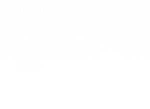 How indivisible.org looks like on a tablet such as an iPad.