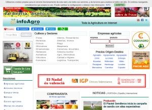 How infoagro.com looks like on a tablet such as an iPad.
