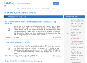 How inforeal.com.vn looks like on a tablet such as an iPad.