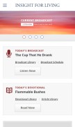 How insight.org looks like on a mobile device such as an iPhone.