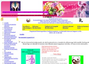 How integraal.ee looks like on a tablet such as an iPad.