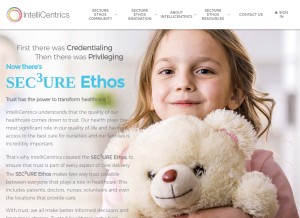 How intellicentrics.com looks like on a tablet such as an iPad.