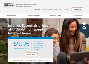 How internetessentials.com looks like on a tablet such as an iPad.
