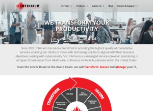 How intrinium.com looks like on a tablet such as an iPad.