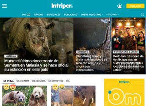 How intriper.com looks like on a tablet such as an iPad.