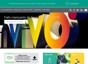 How invivo-group.com looks like on a tablet such as an iPad.