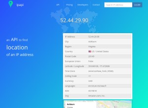 How ipapi.co looks like on a tablet such as an iPad.