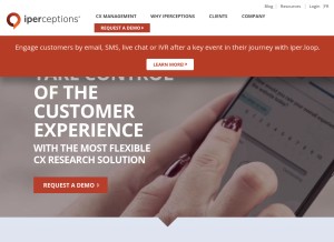 How iperceptions.com looks like on a tablet such as an iPad.