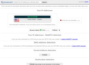 How ipleak.net looks like on a tablet such as an iPad.