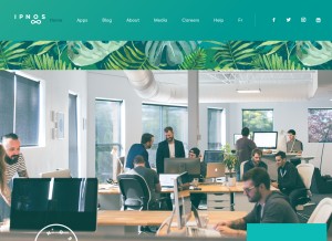How ipnos.com looks like on a tablet such as an iPad.