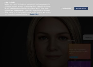 How ipsoft.com looks like on a tablet such as an iPad.