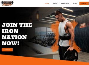 How ironnationfranchise.com looks like on a tablet such as an iPad.