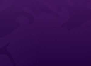 How isadoradigitalagency.com looks like on a tablet such as an iPad.