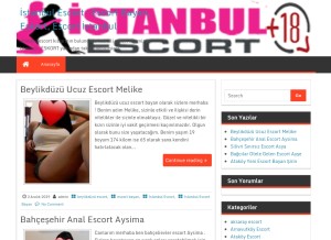 How istanbuldershanesi.com looks like on a tablet such as an iPad.