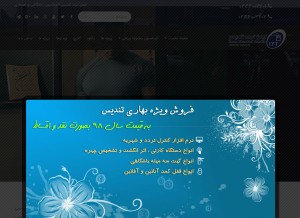 How ittandis.com looks like on a tablet such as an iPad.