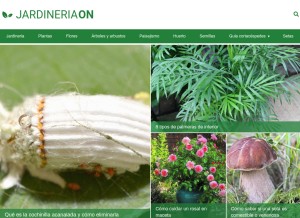 How jardineriaon.com looks like on a tablet such as an iPad.