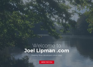 How joellipman.com looks like on a tablet such as an iPad.