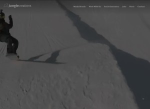 How junglecreations.com looks like on a tablet such as an iPad.