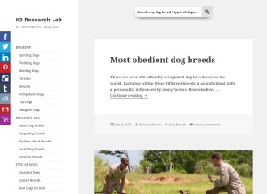 How k9rl.com looks like on a tablet such as an iPad.
