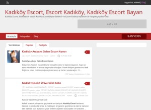 How kadikoyplus.com looks like on a tablet such as an iPad.