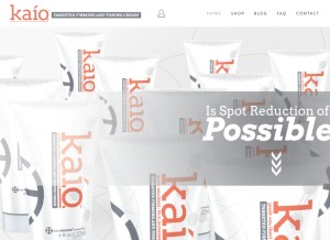 How kaiocream.com looks like on a tablet such as an iPad.