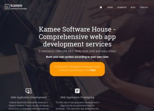 How kamee-software.com looks like on a tablet such as an iPad.