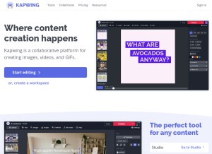 How kapwing.com looks like on a tablet such as an iPad.