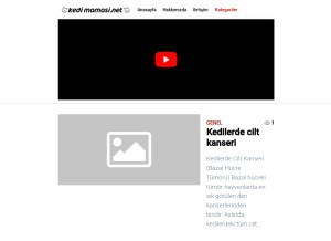 How kedimamasi.net looks like on a tablet such as an iPad.