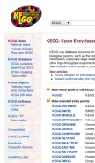 How kegg.jp looks like on a mobile device such as an iPhone.