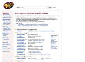 How kegg.jp looks like on a tablet such as an iPad.