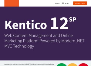 How kentico.com looks like on a tablet such as an iPad.