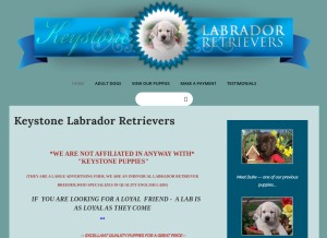 How keystonelabradorretrievers.com looks like on a tablet such as an iPad.