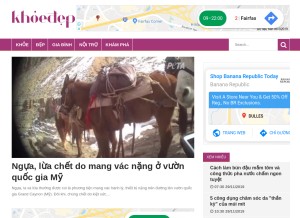 How khoedep.info looks like on a tablet such as an iPad.