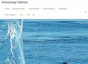 How kinesiologiodense.dk looks like on a tablet such as an iPad.