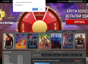 kinogo.zone Domain Owner Whois and Analysis