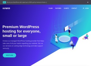 How kinsta.com looks like on a tablet such as an iPad.