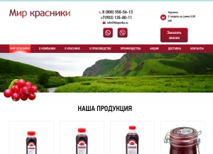How klopovka.ru looks like on a tablet such as an iPad.