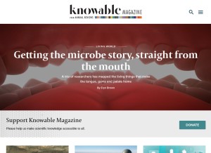 How knowablemagazine.org looks like on a tablet such as an iPad.