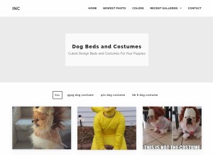 How korrectkritters.com looks like on a tablet such as an iPad.
