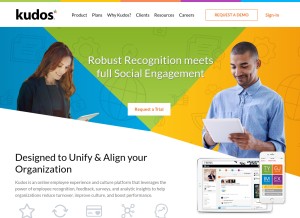 How kudosnow.com looks like on a tablet such as an iPad.