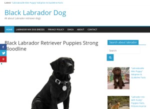 How labradorinblack.com looks like on a tablet such as an iPad.