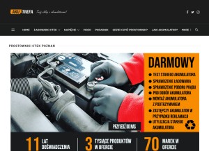 How ladowarki-ctek.pl looks like on a tablet such as an iPad.