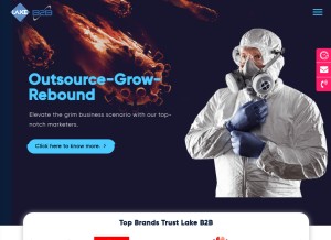 How lakeb2b.com looks like on a tablet such as an iPad.