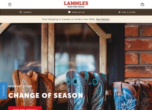 How lammles.com looks like on a tablet such as an iPad.
