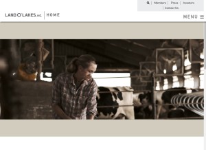 How landolakesinc.com looks like on a tablet such as an iPad.